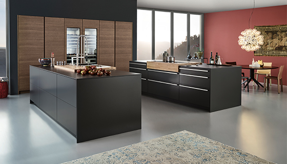 Leading Nyc Modern European Kitchen Provider Kitchen Cabinets