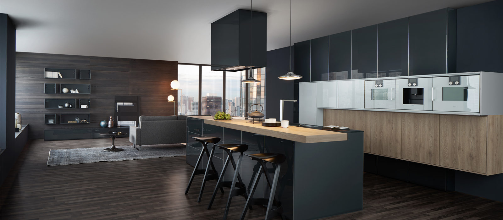 Leading NYC Modern European Kitchen Provider Kitchen Cabinets