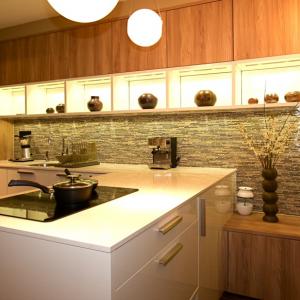 Kitchen Cabinets 1251